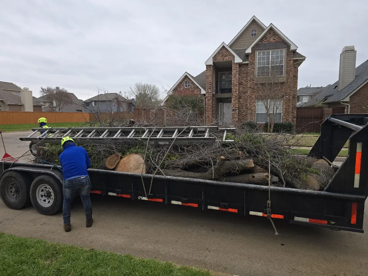 Expert Tree Fertilization with proper safety equipment in Spearville